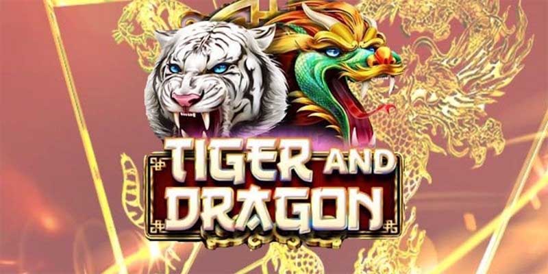 Hướng dẫn cách chơi game Rồng Hổ cho tân binh