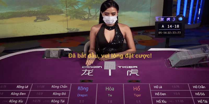 Tìm hiểu về trò chơi Rồng Hổ là gì?