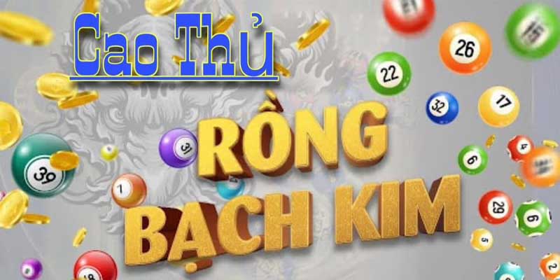 Sử dụng phương pháp để chơi rồng bạch kim hiệu quả
