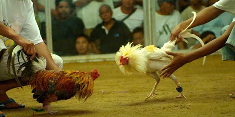 Theo dõi để biết kết quả