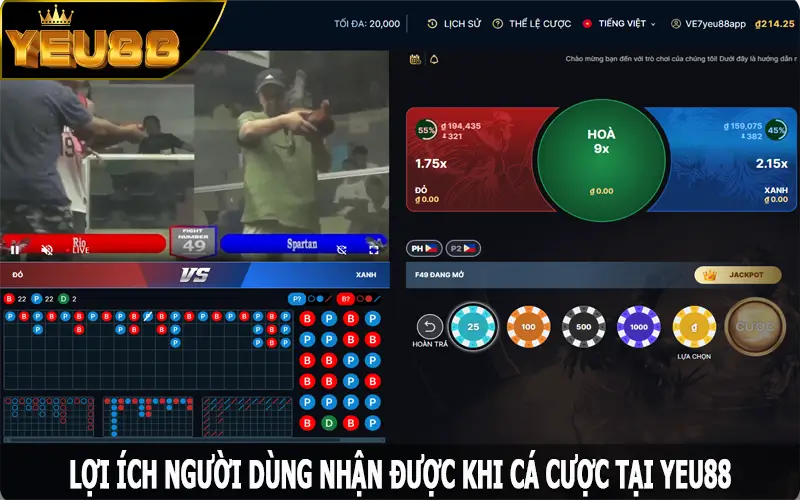 Lợi ích người dùng nhận được khi cá cược tại Yeu88