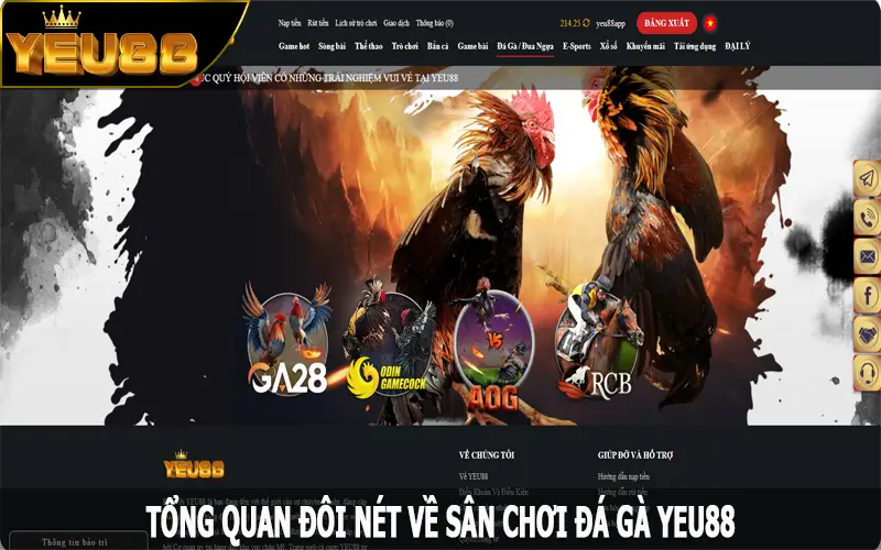 Tổng quan đôi nét về sân chơi đá gà Yeu88 cực hấp dẫn