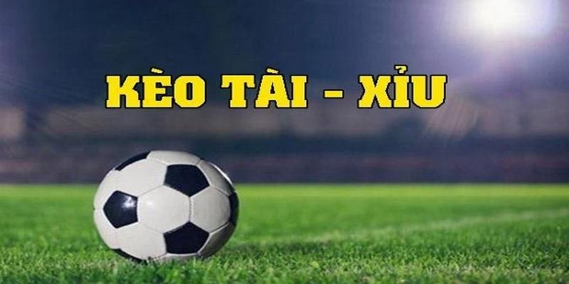 Mẹo chơi cá độ tài xỉu bóng đá luôn thắng